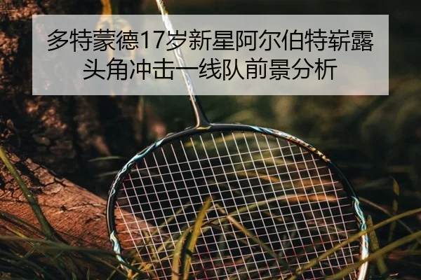 多特蒙德17岁新星阿尔伯特崭露头角冲击一线队前景分析